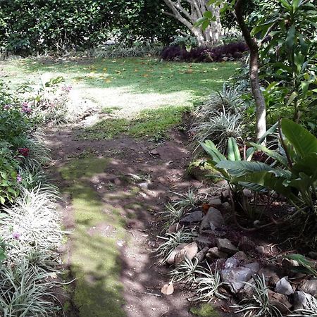 Hotel Las Orquideas Monteverde Zewnętrze zdjęcie